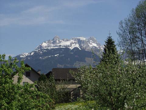 image9.jpg