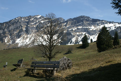 Image05.jpg
