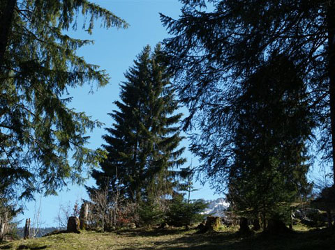 Image08.jpg