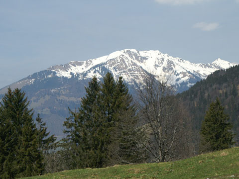 Image11.jpg