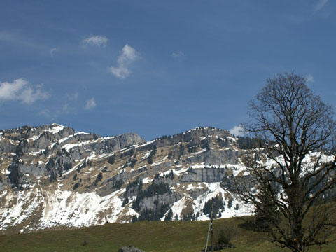 Image14.jpg