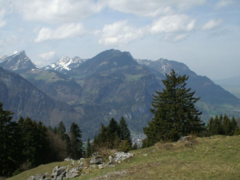 Image20.jpg